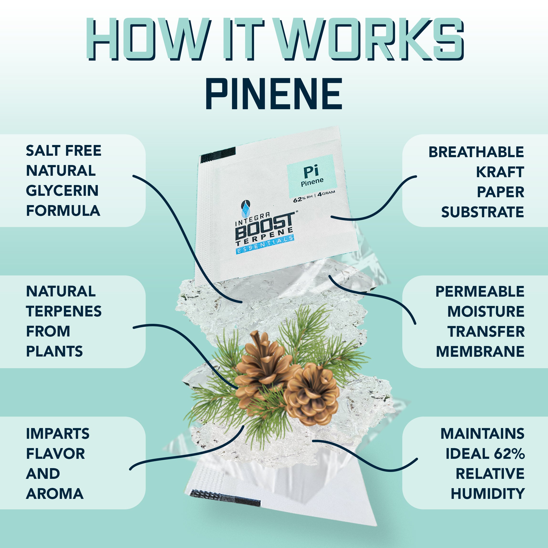 integra-boost-terpene-essentials-67g-pinene-terpen-pack image 2