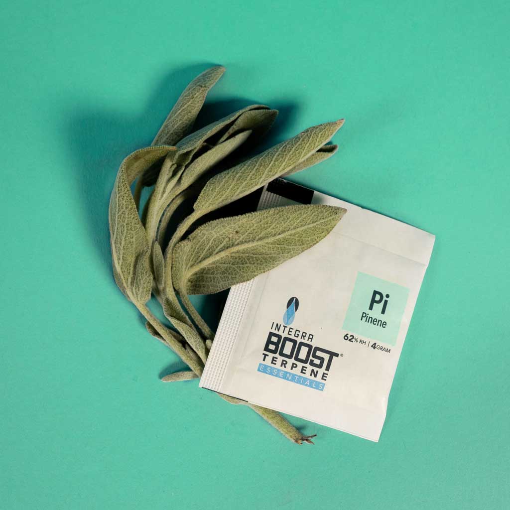 integra-boost-terpene-essentials-stimulate-set-3x-4-g-62-rh image 2