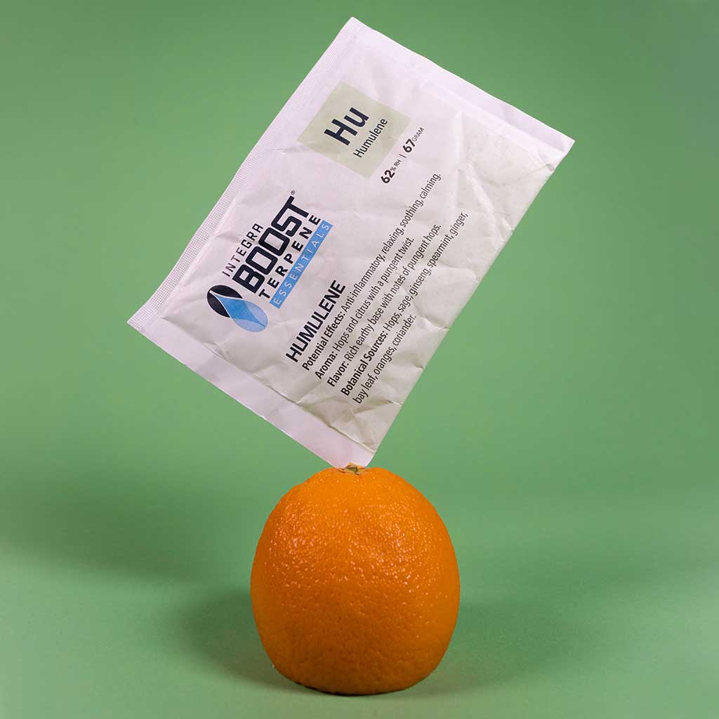 integra-boost-terpene-essentials-feuchtigkeitsregler-67g-humulene image 5