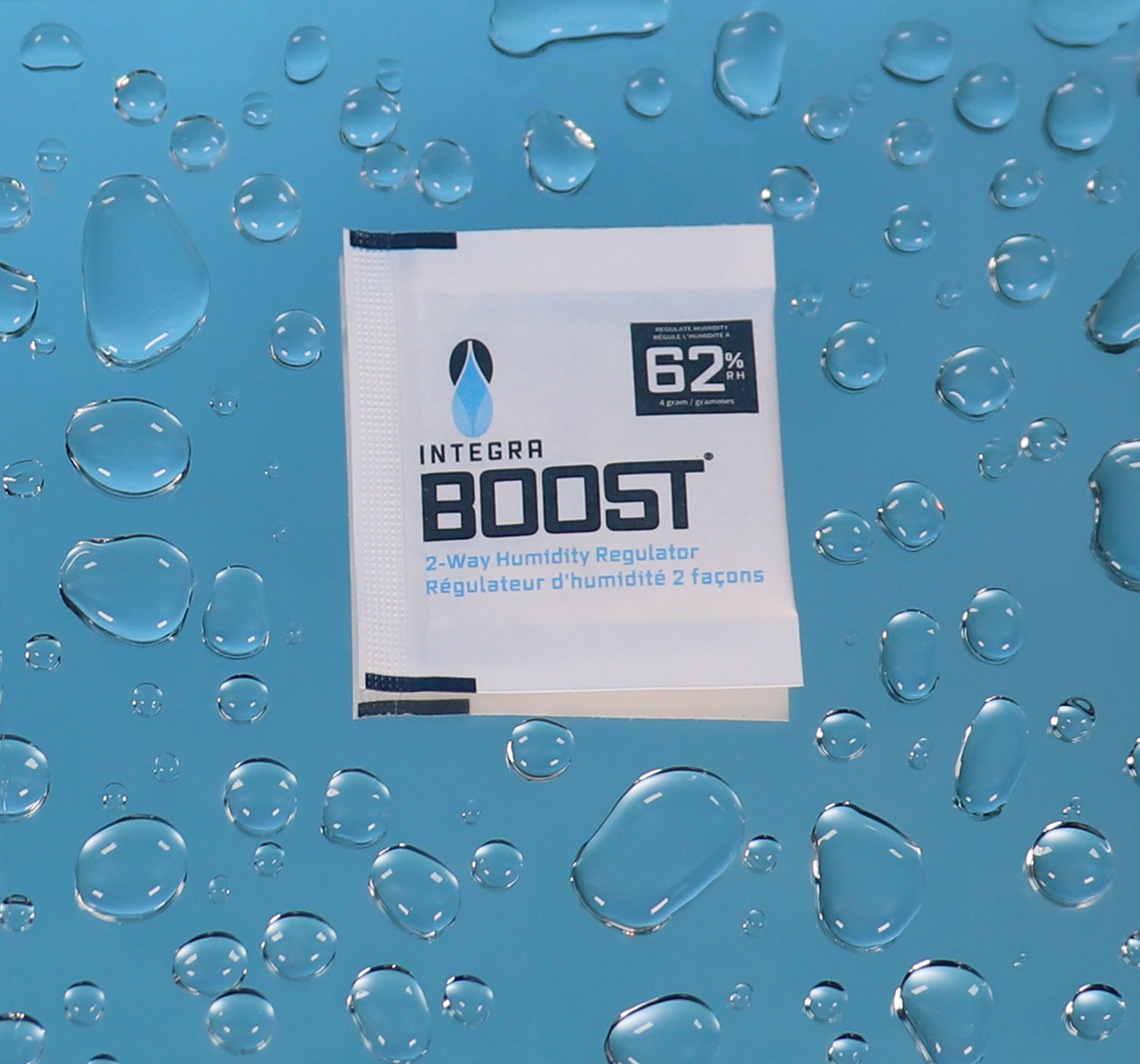 integra-boost-2-way-4g-feuchtigkeitsregler-62-rh image 2