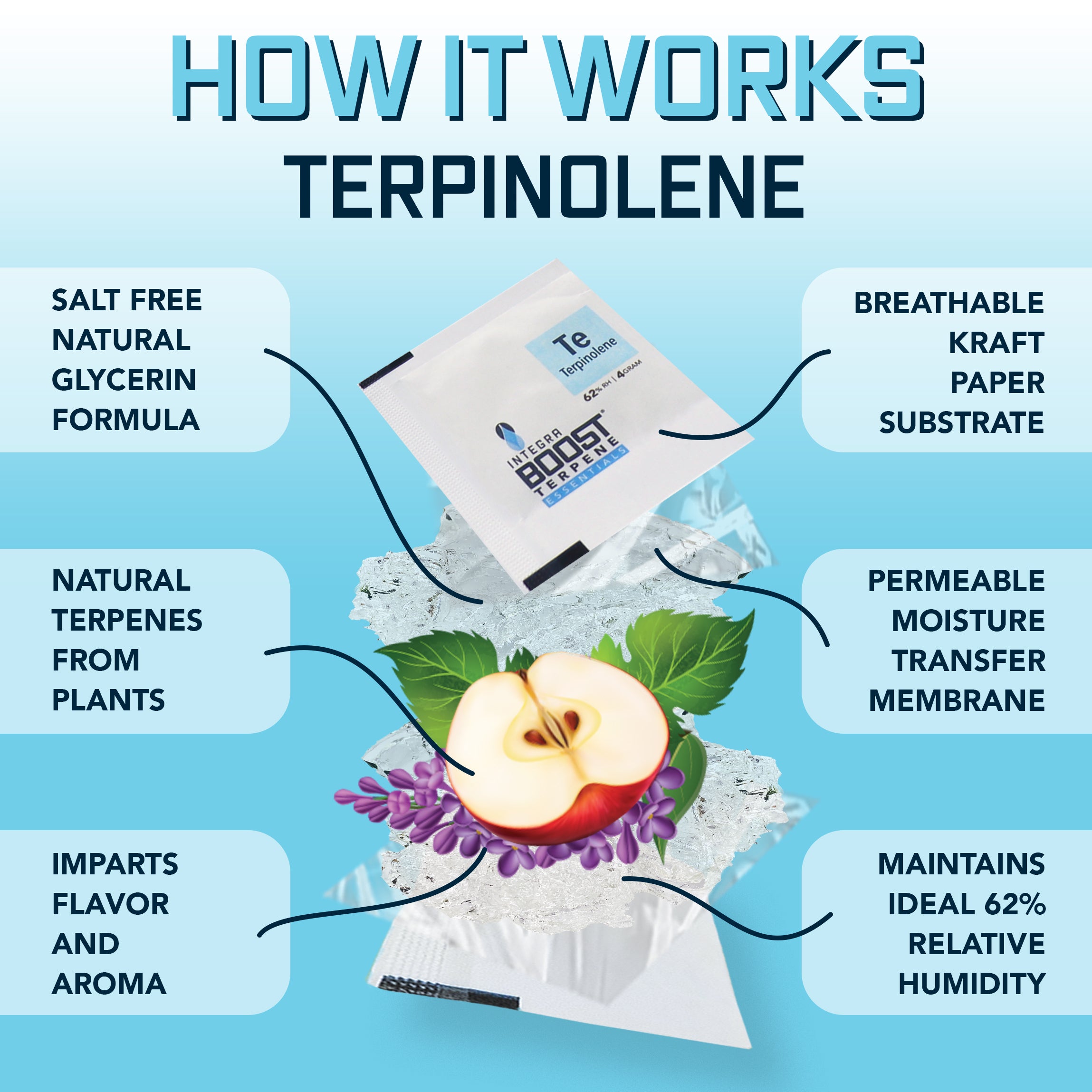 integra-boost-terpene-essentials-terpinolene-pack-4g-62 image 2