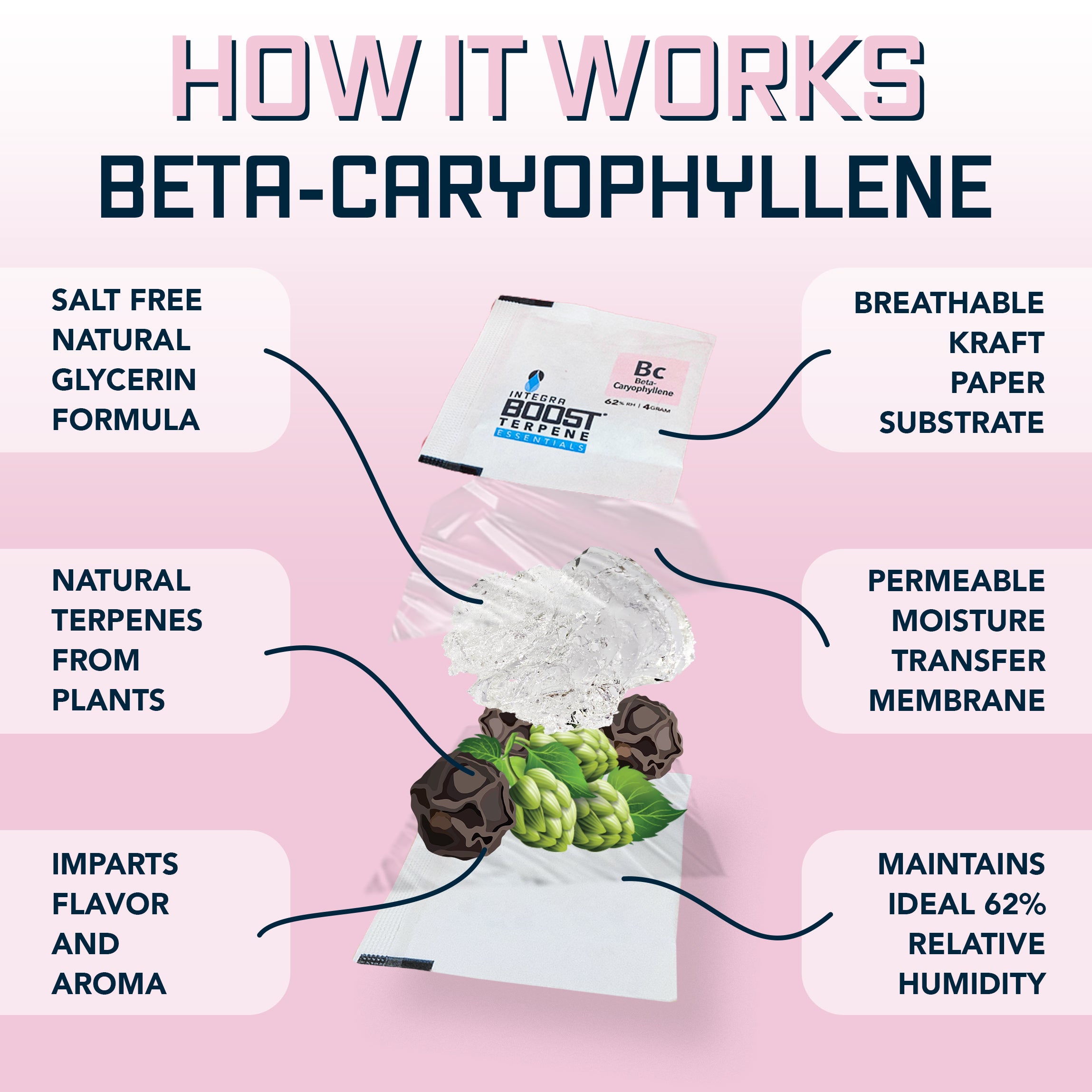 integra-boost-terpene-essentials-beta-caryophyllene-pack-4g-62 image 2