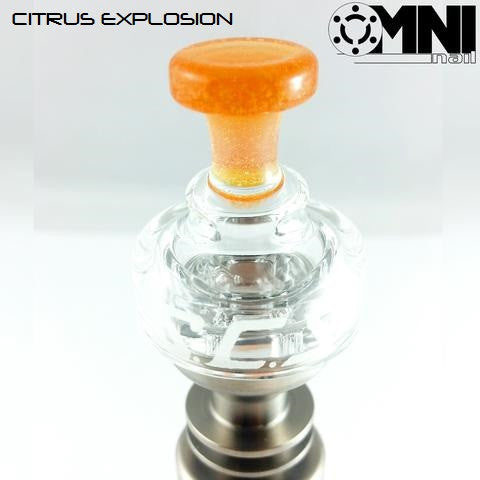 santa-cruz-shredder-omni-boro-cap-standard-clear-glas image 2