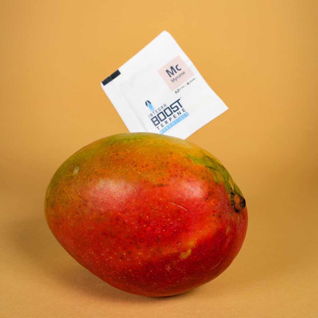 integra-boost-myrcene-terpenbeutel-4g-62-f-r-1-2-oz image 5