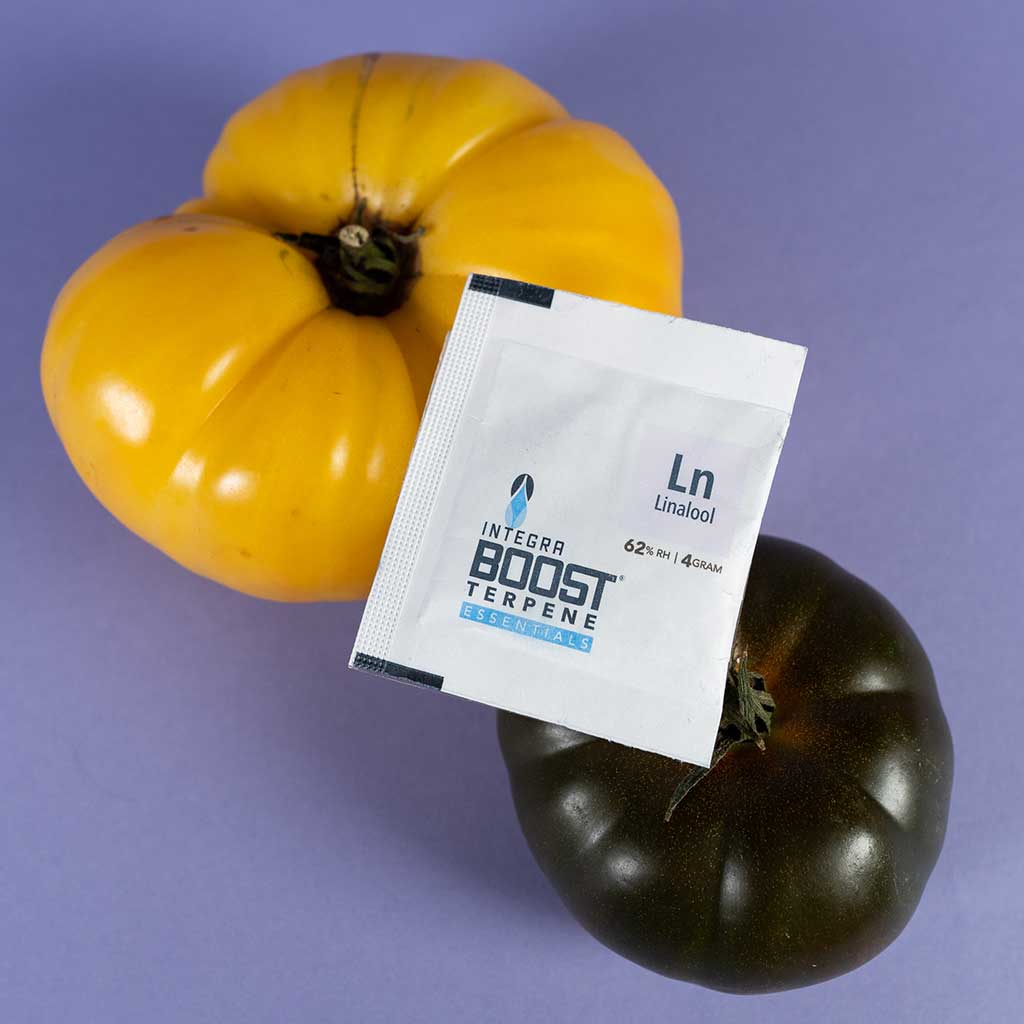 integra-boost-terpene-essentials-linalool-feuchtigkeitsregler-4-g-single-pack image 6