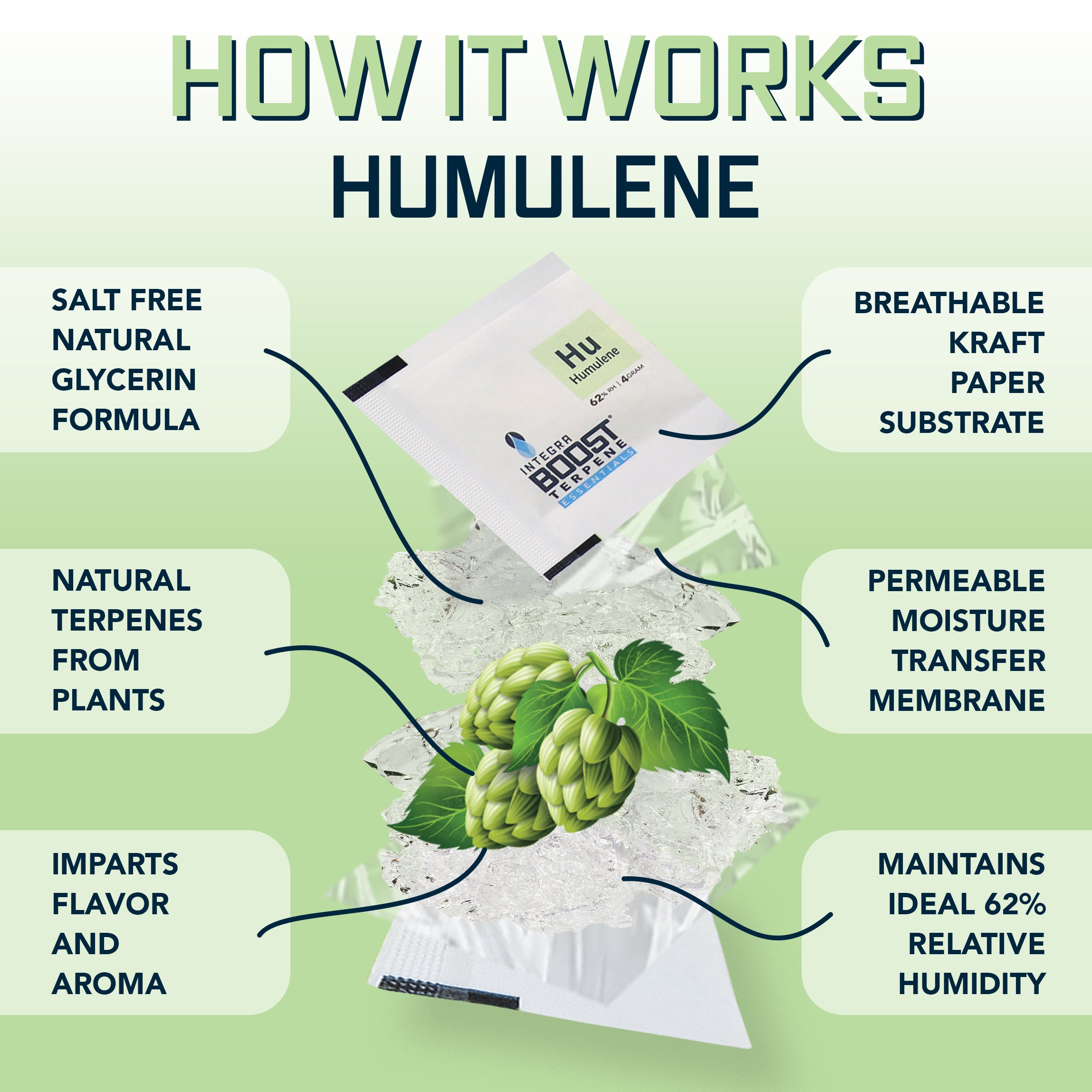 integra-boost-terpene-essentials-humulene-feuchtigkeitsregler-4-g-single image 2